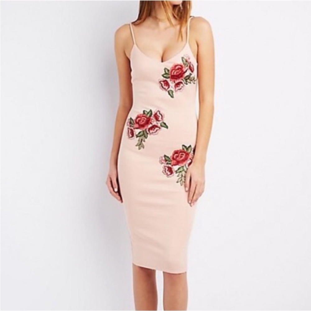 Charlotte Russe rose embroidered dress